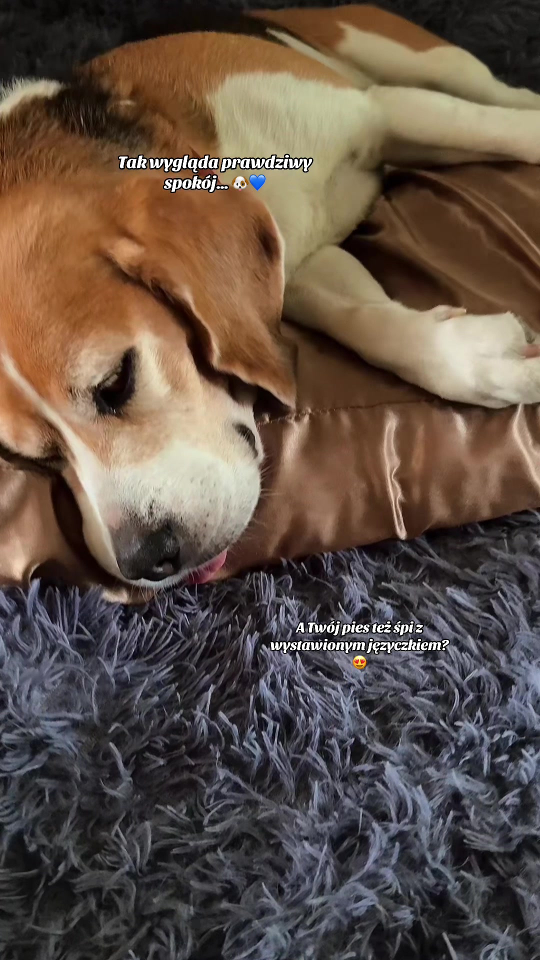 @🐾🌿kavirax12 🌿🐾