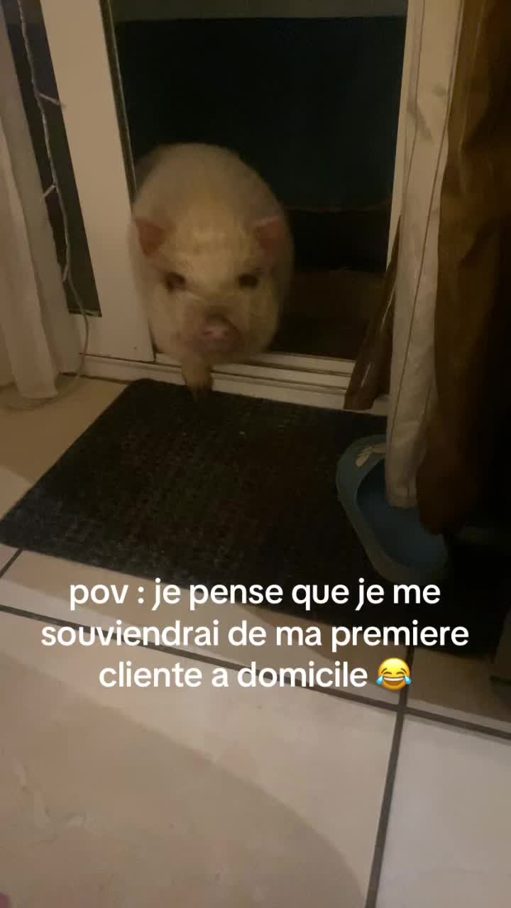 @Oceane Marwan