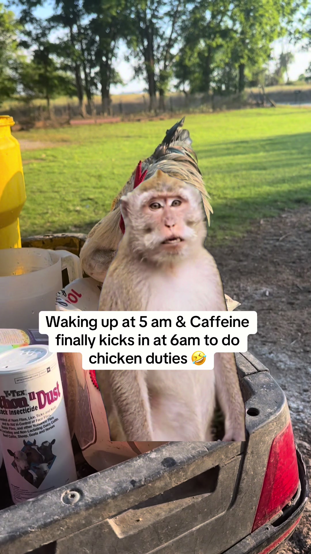 @NonniesFunnyFarm