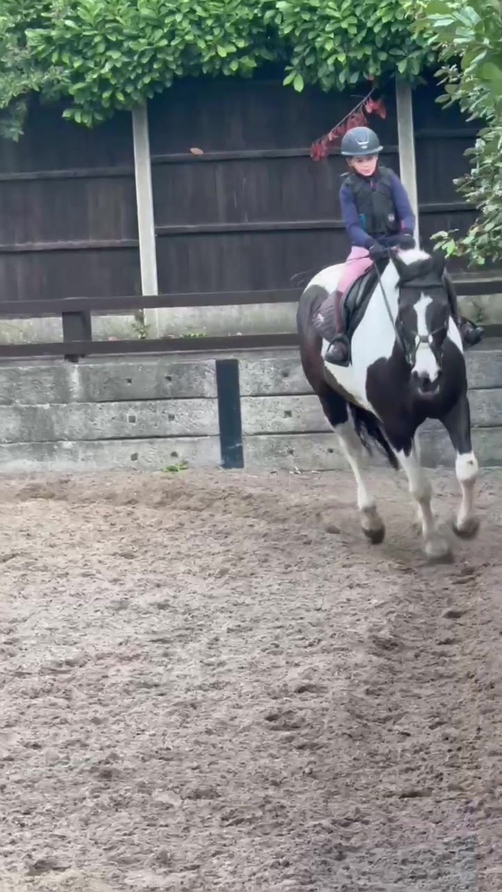 @LottiesHorseAdventures🦄🐴