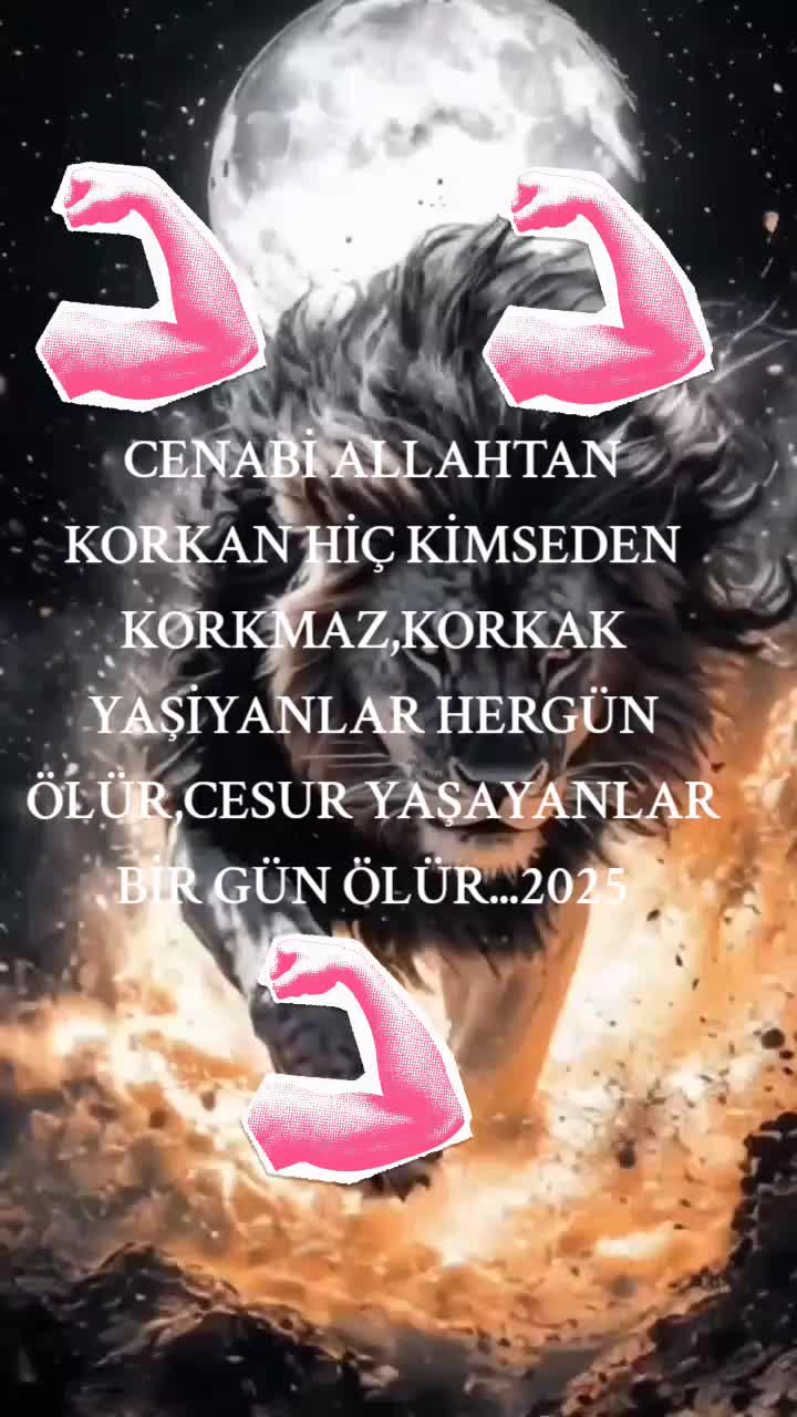 @BORDO BERELI ASLAN KRAL1