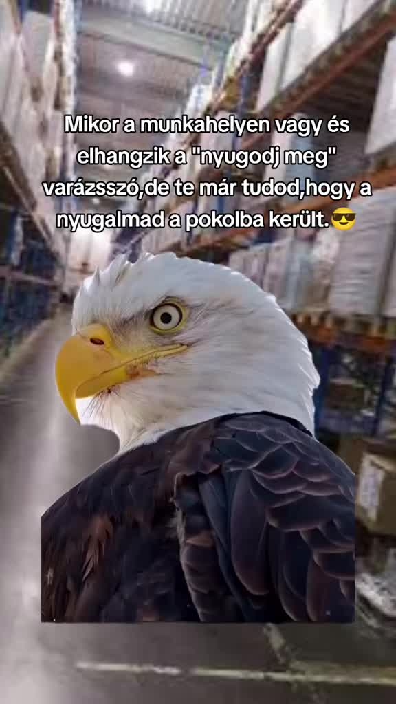 @Mariusz