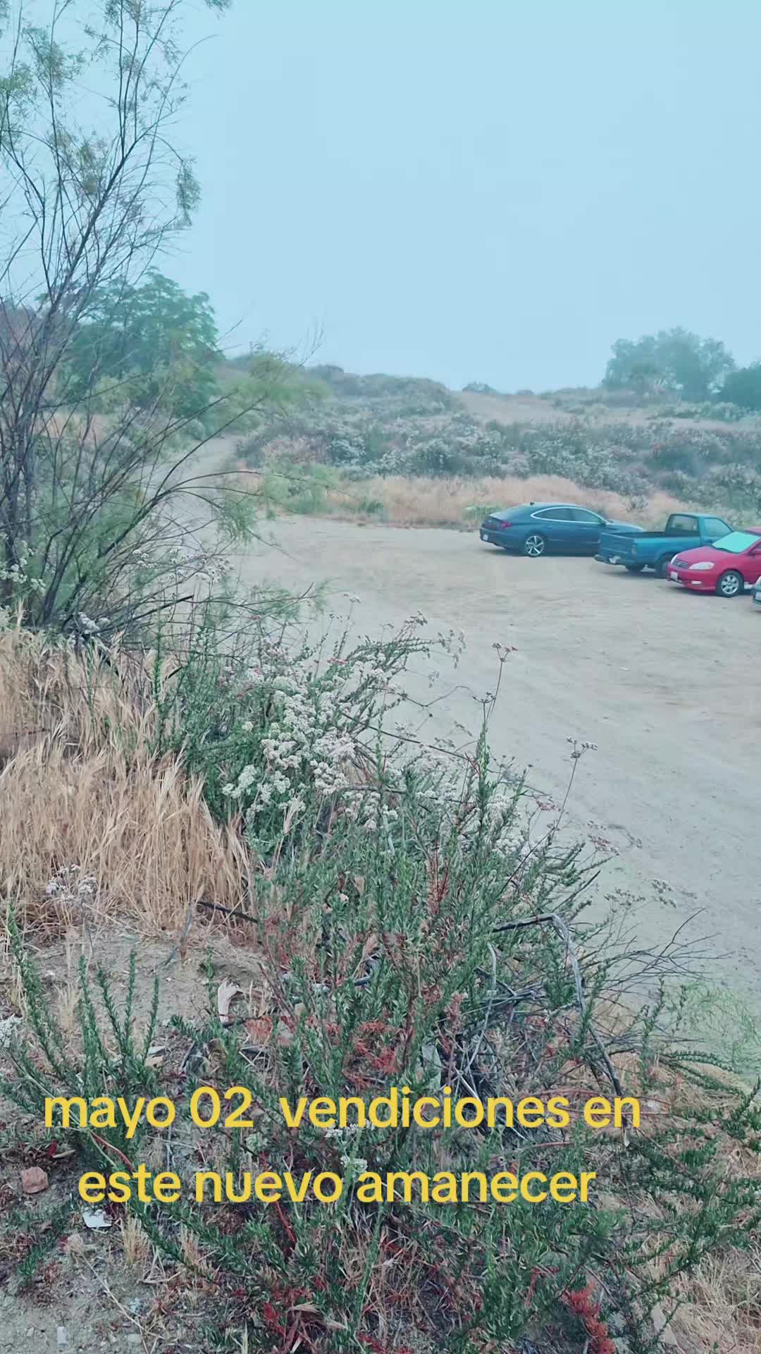 @Luis juarez85