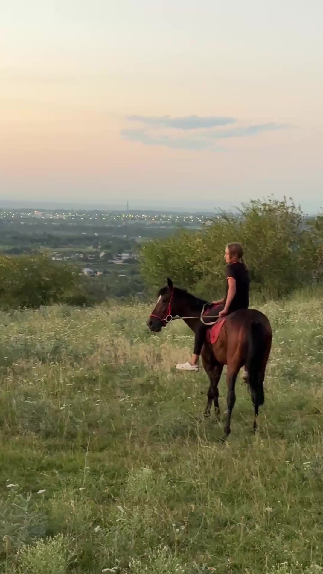 @🐎Ева🐎