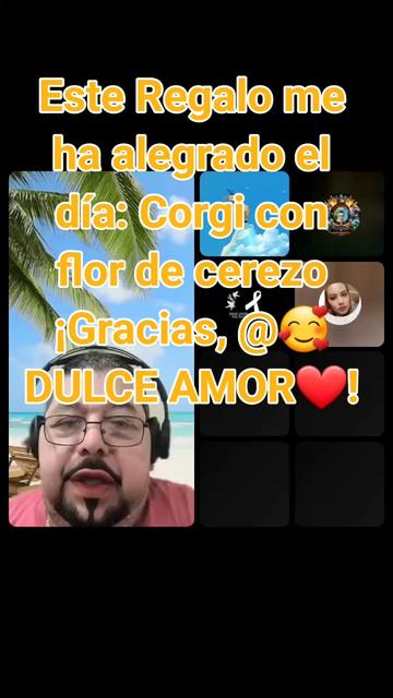 @🐅 TIGRE😎SALVAJE