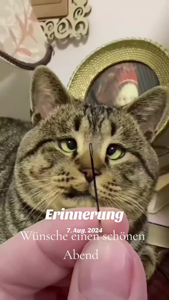 @Micha