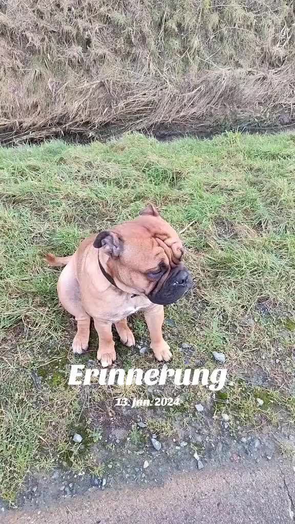 @Wencke