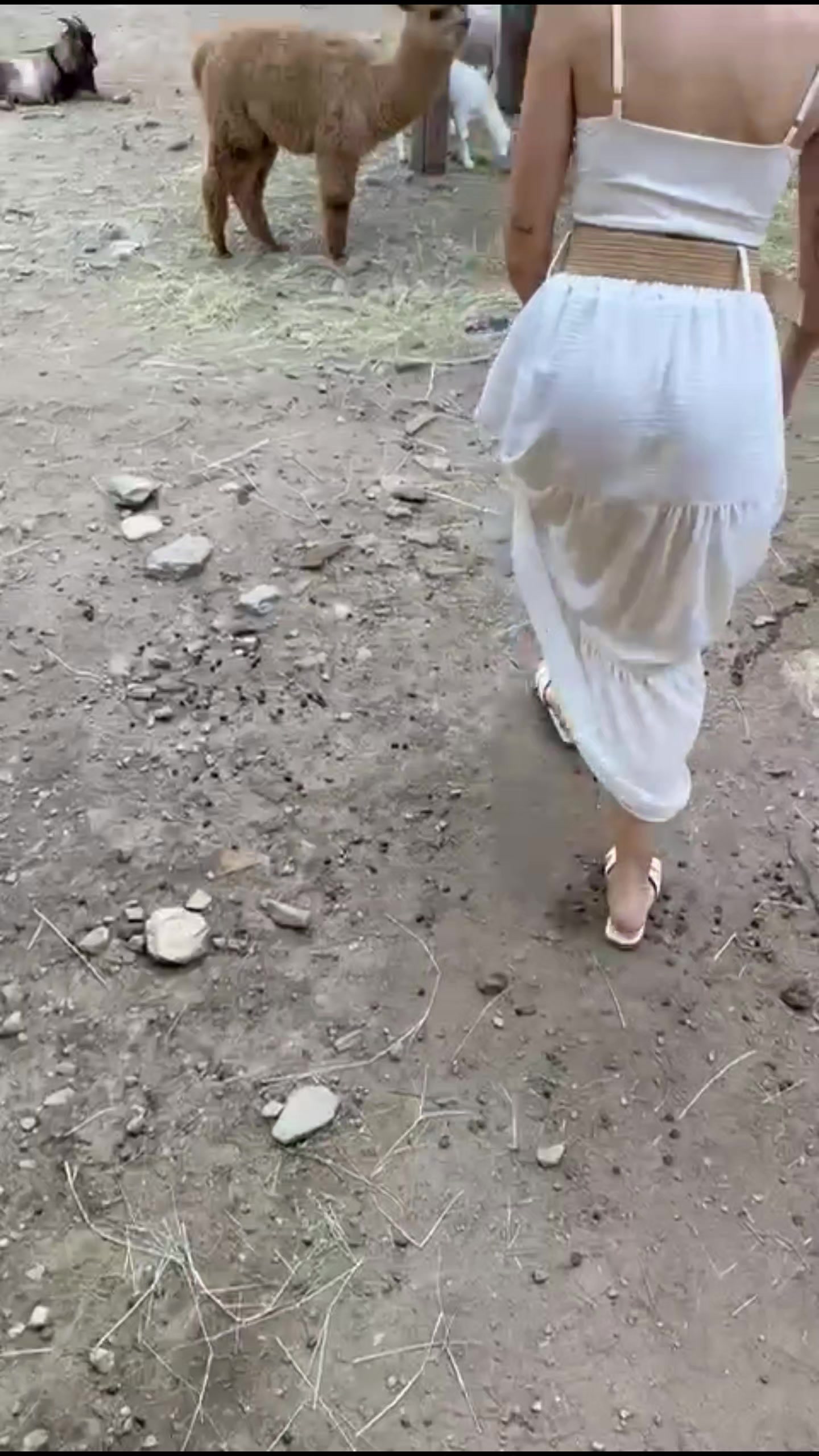 @Veronicaaciceri