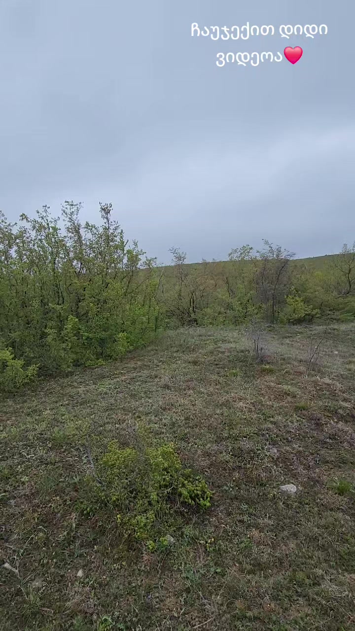 @მონადირე მთისშვილი❤️🏔️🇬🇪