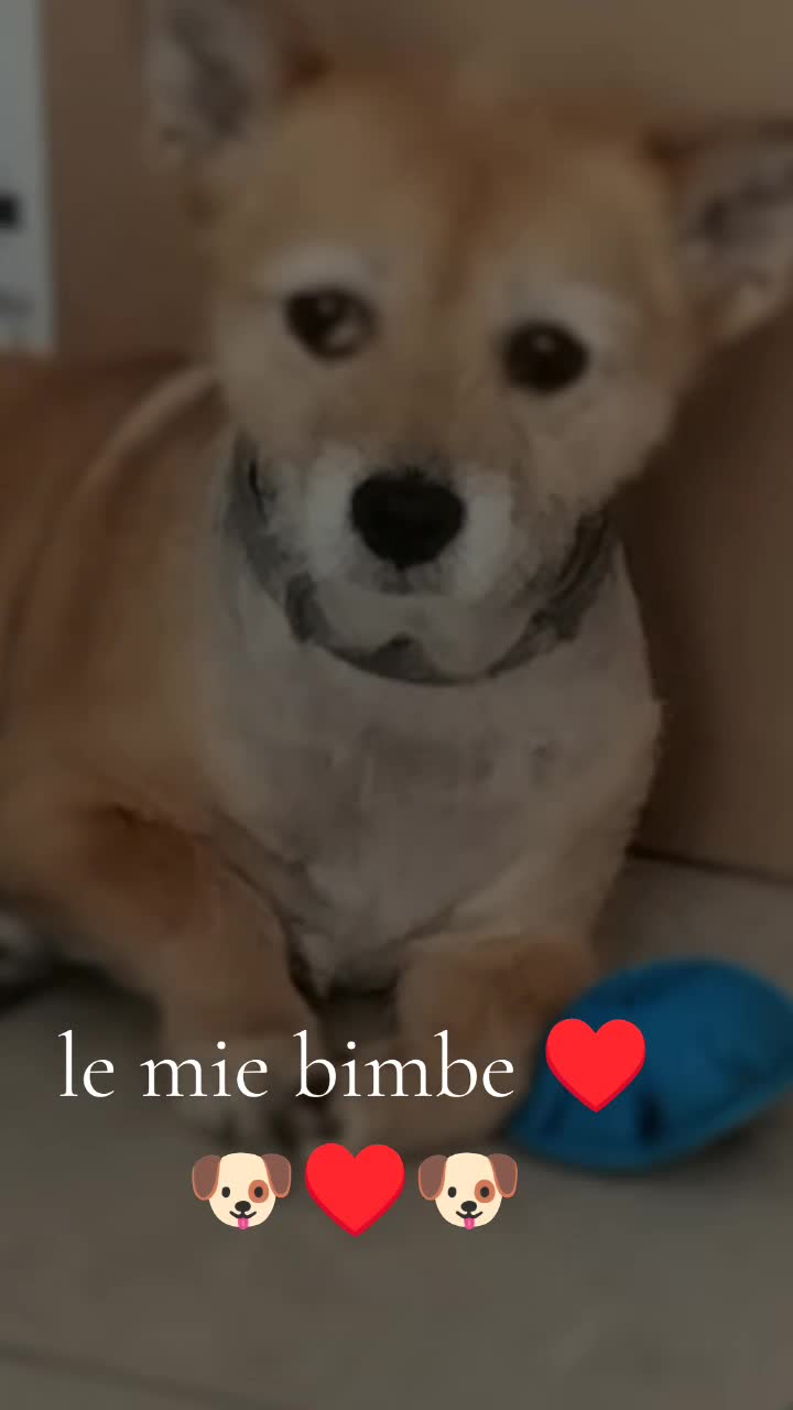 @la combattente01