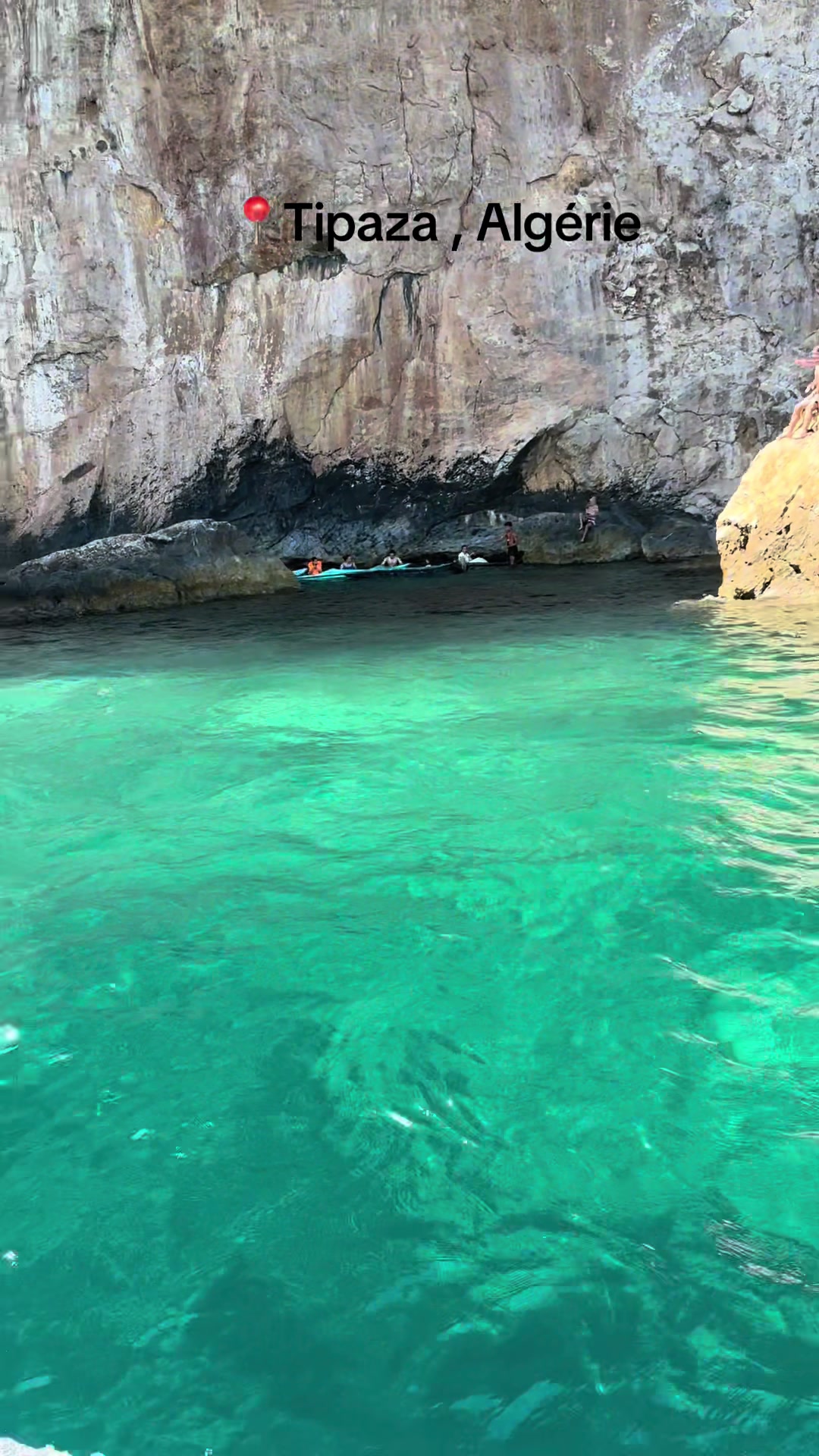 @Mina &agrave; Alger 🇩🇿