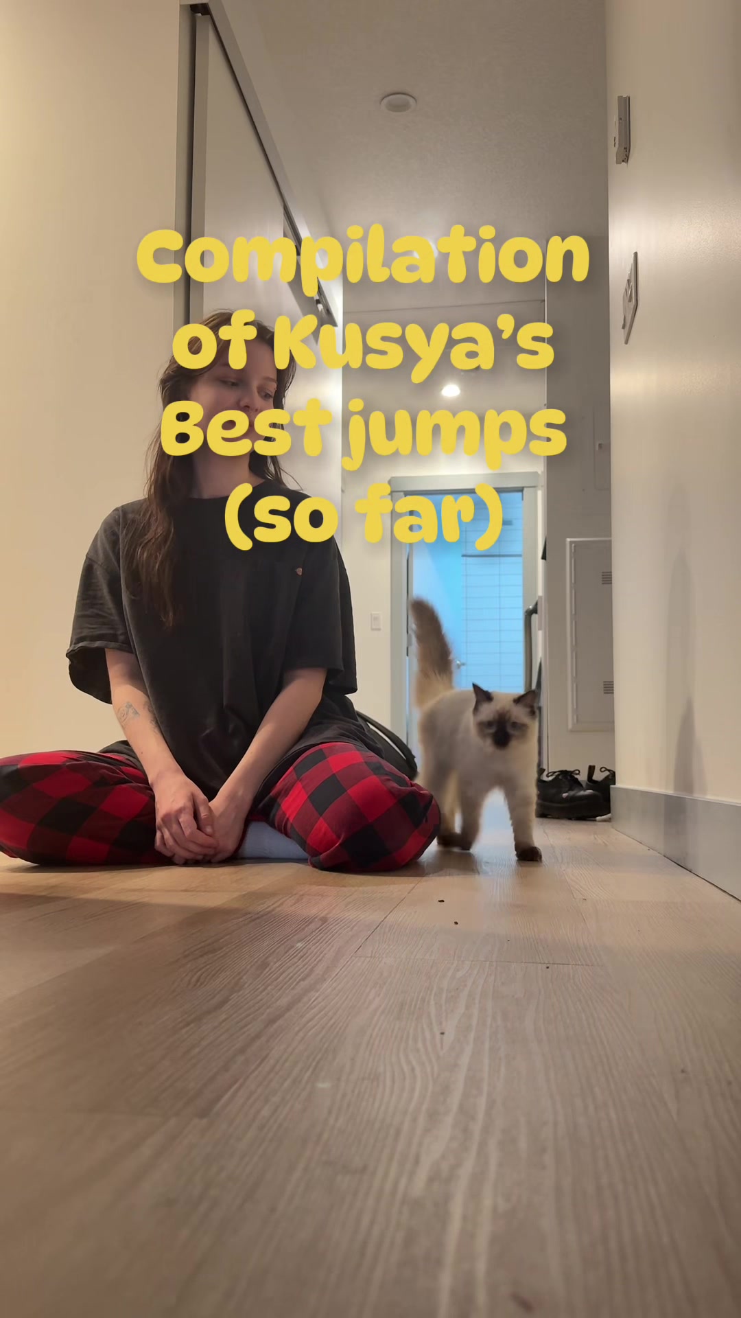 @kusya.the.cat