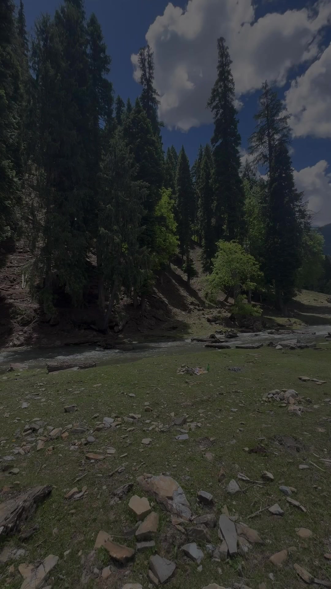@Aliشhee✨