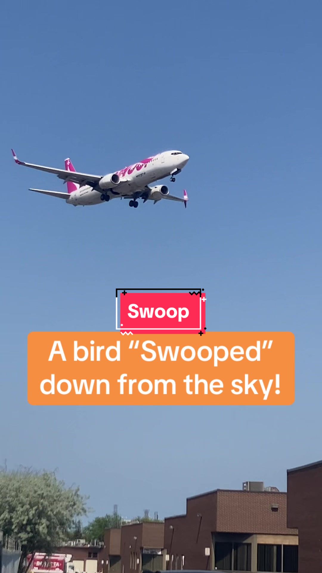@Plane Spotting YYB