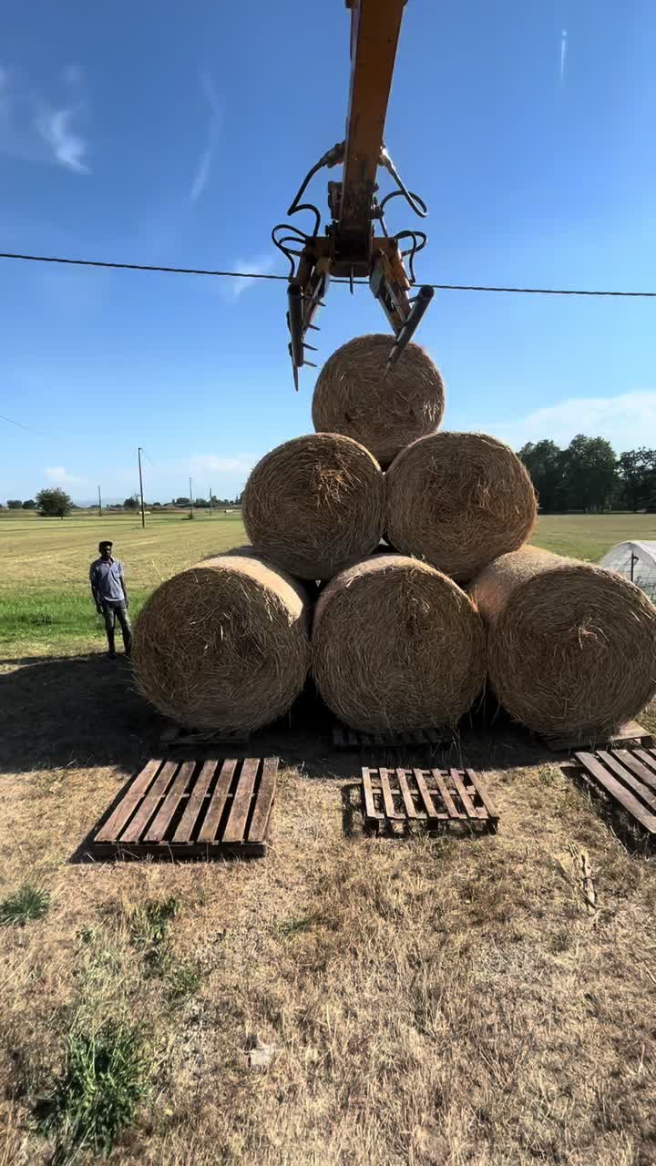 @Mirko Farmer