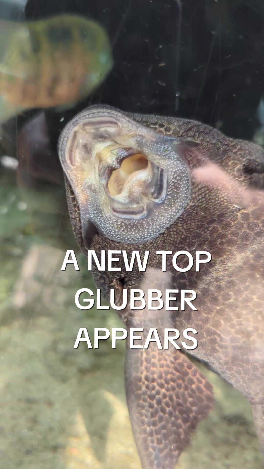 @BristolAquarium