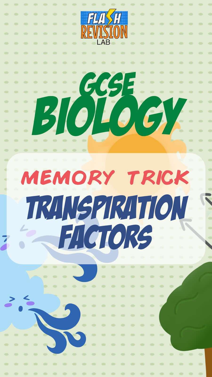@FlashRevisionLab
