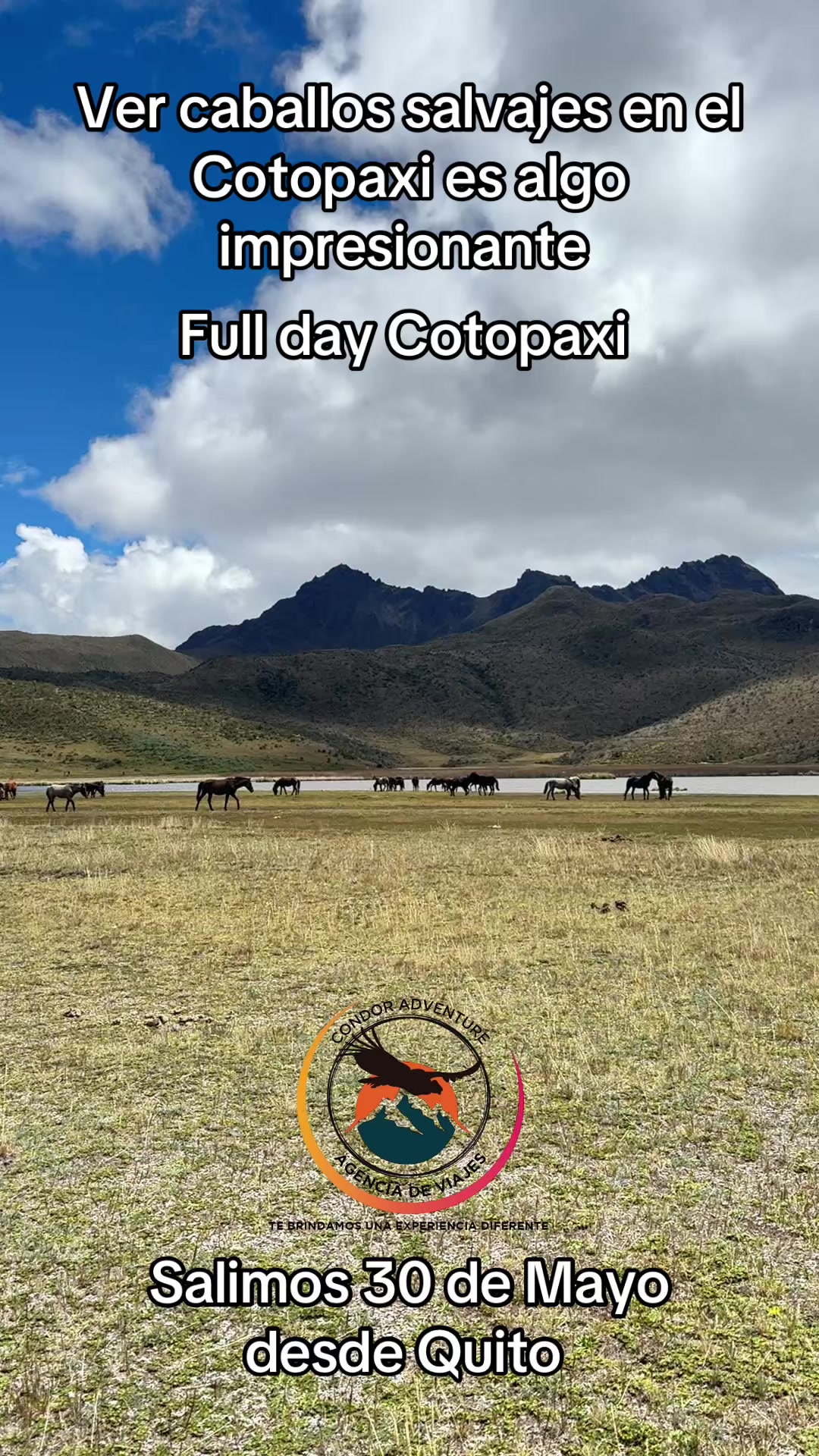 @Tours Condor Adventure