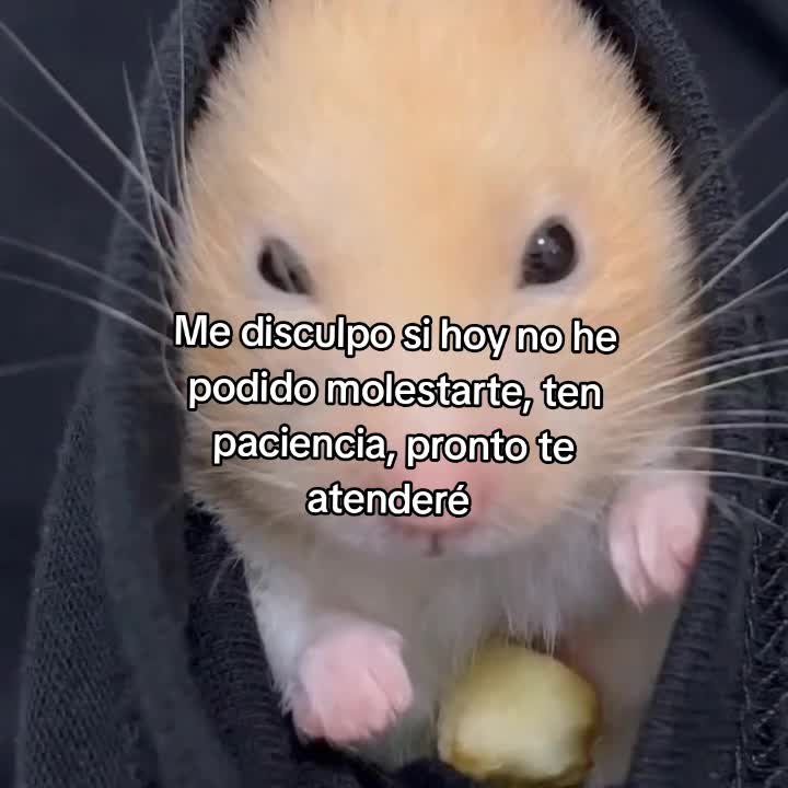 @goodvibessxd