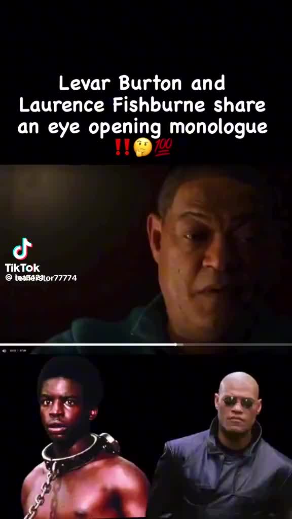 @Ladycat