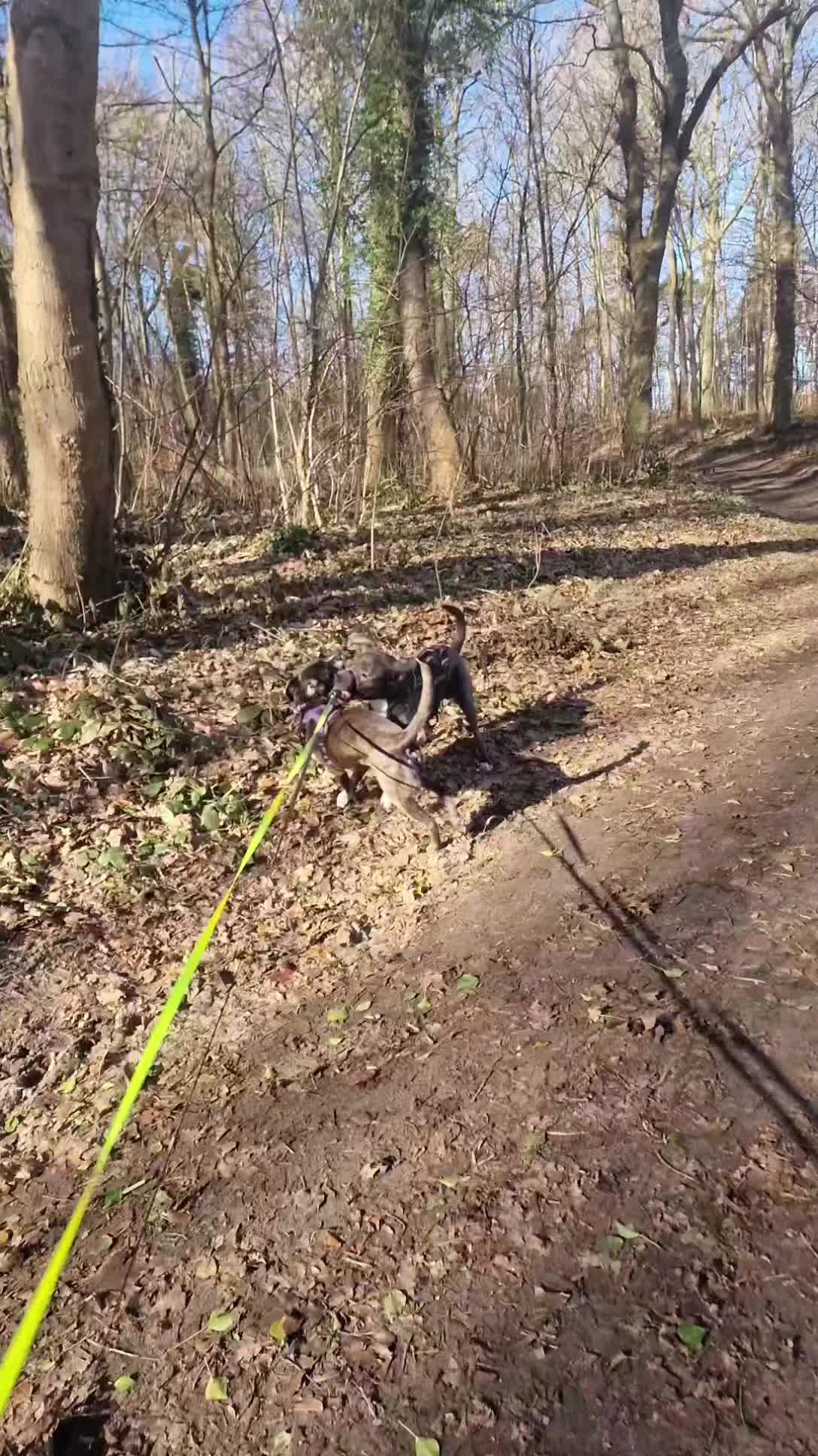 @𝕻.🍃💨