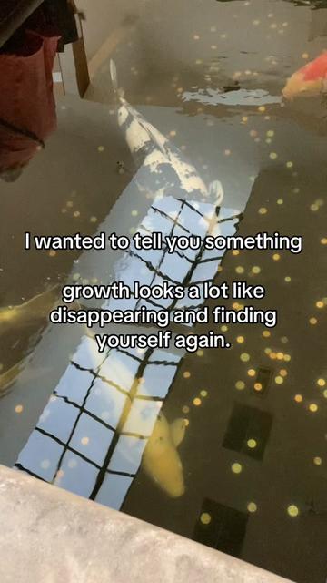 @KAS ✨