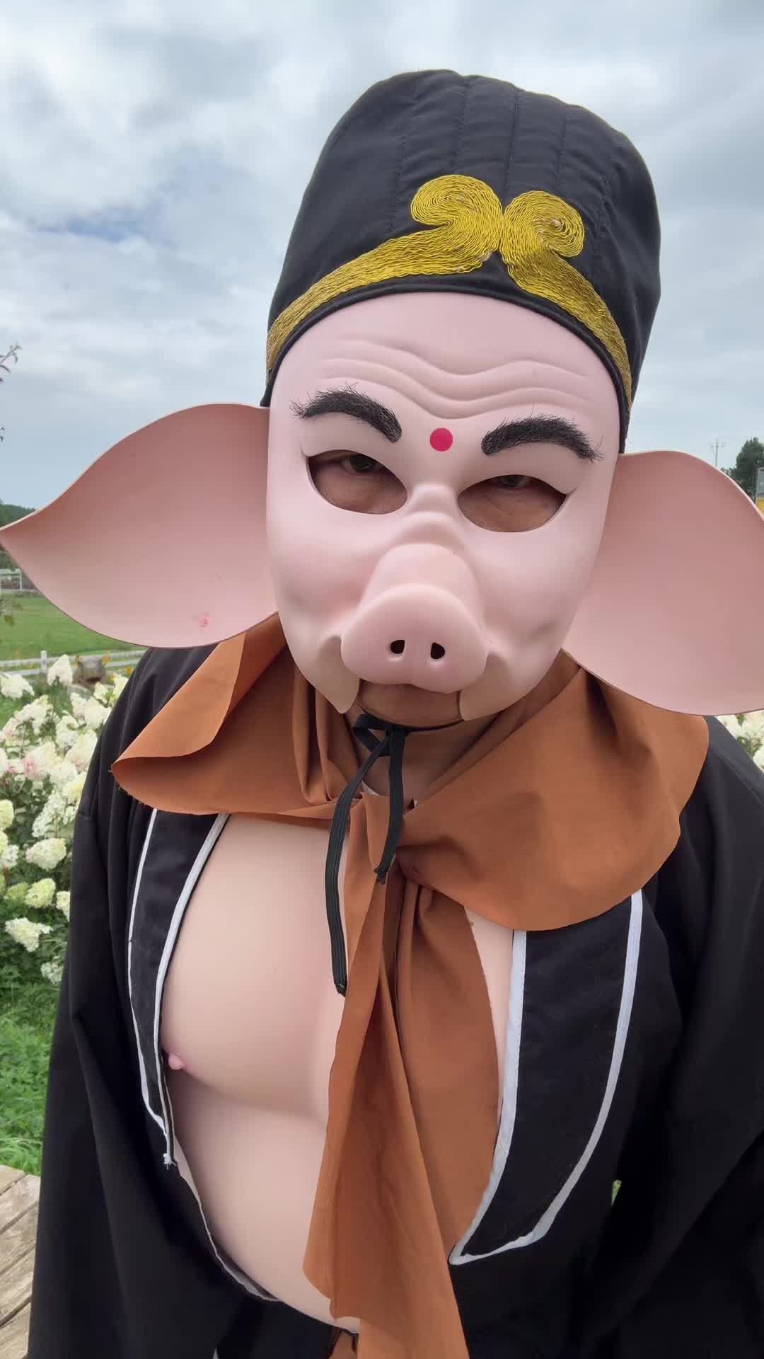 @Journey to the West Pigsy