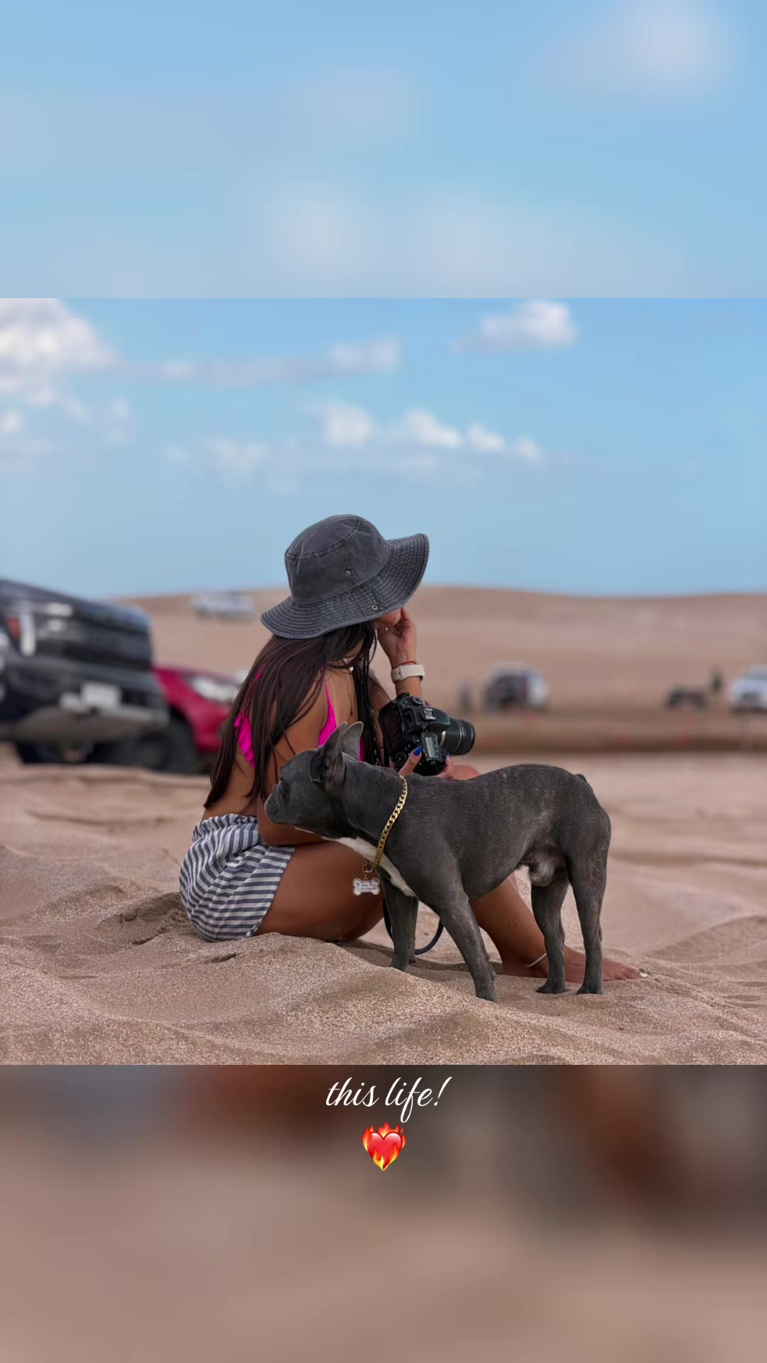 @biannboff_