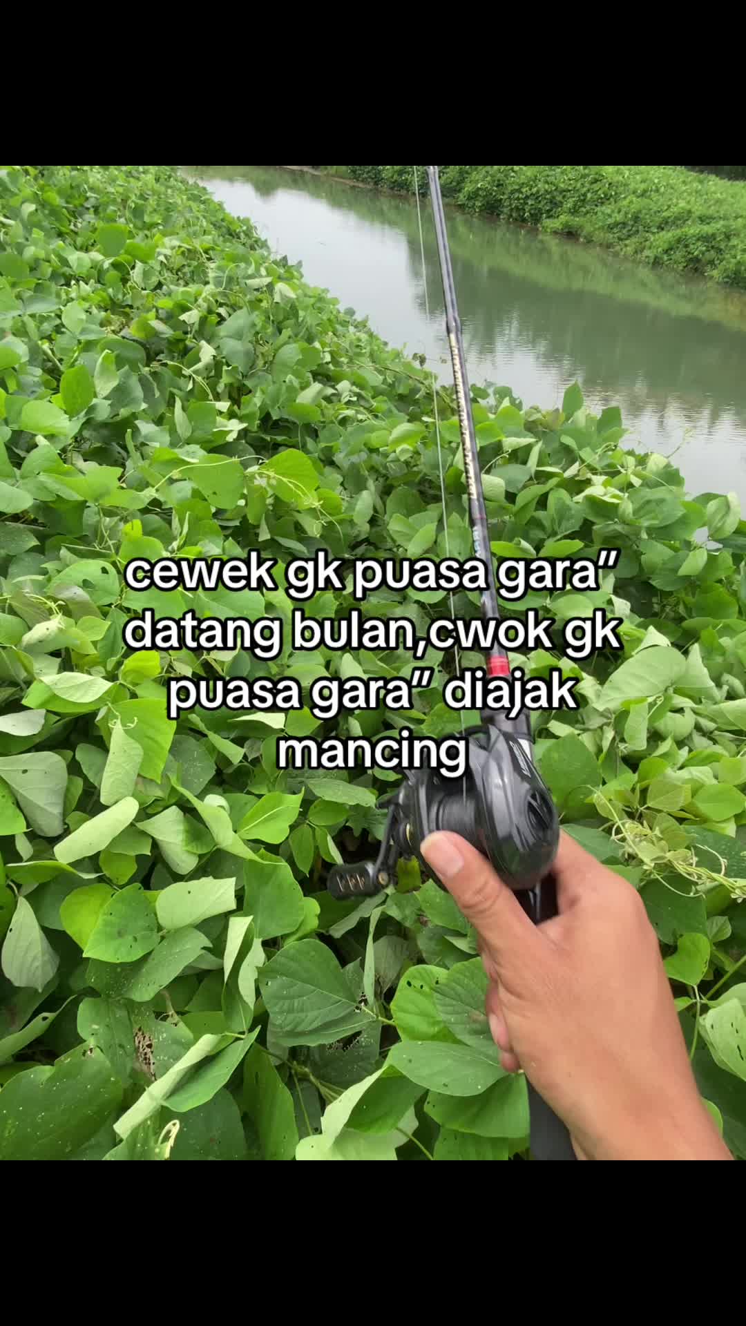 @BAIHAKI