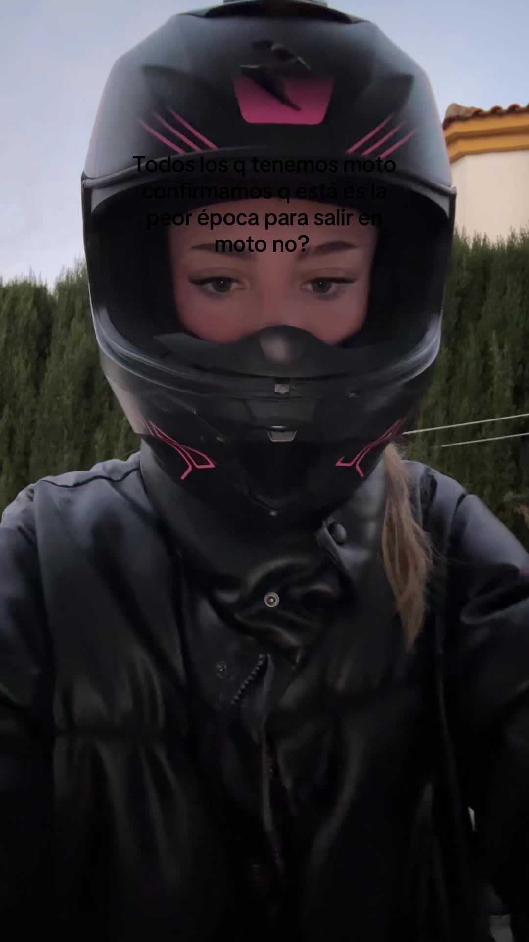 @dinodino🦕