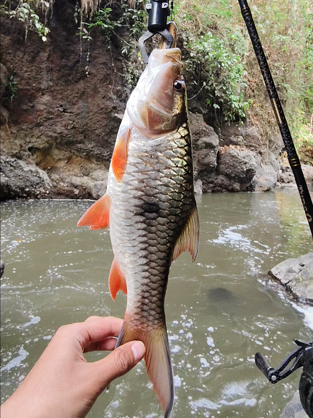 @gustavxfishing