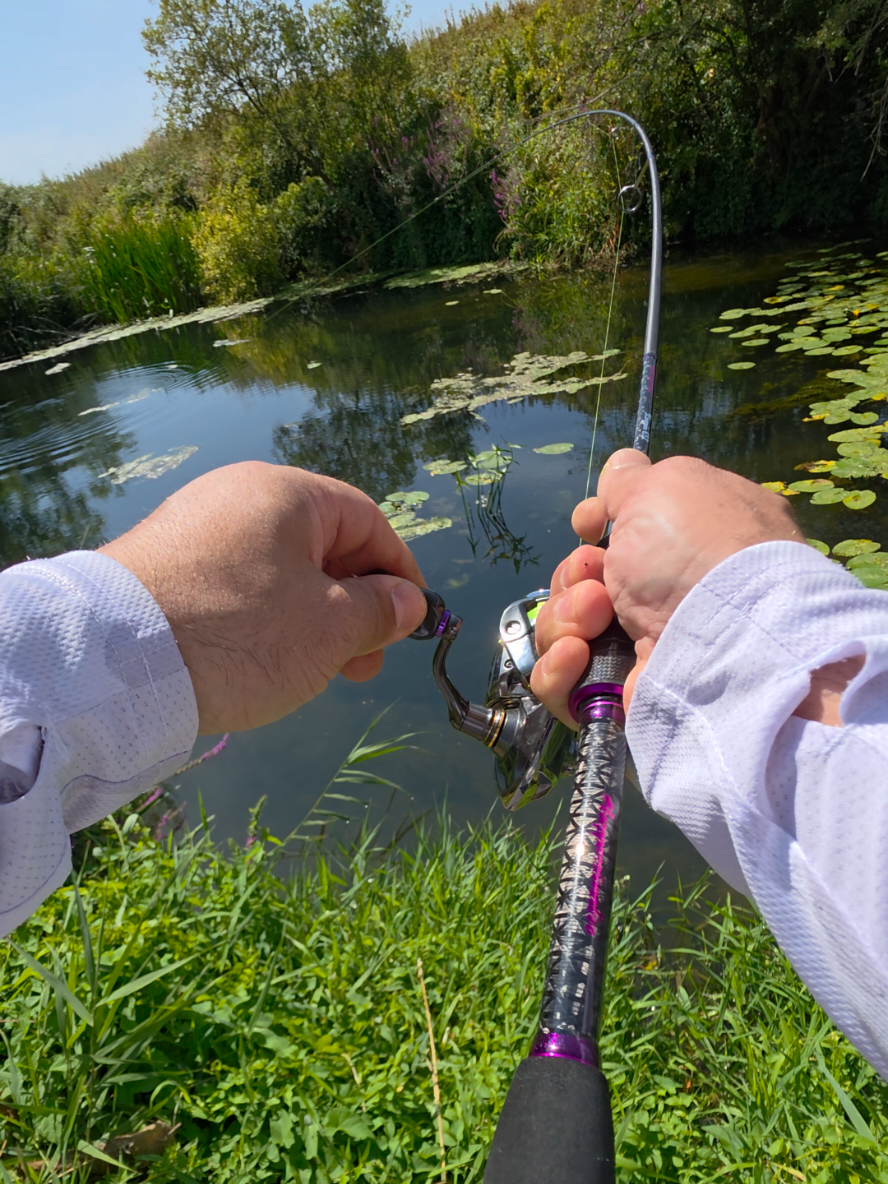 @BF Angler