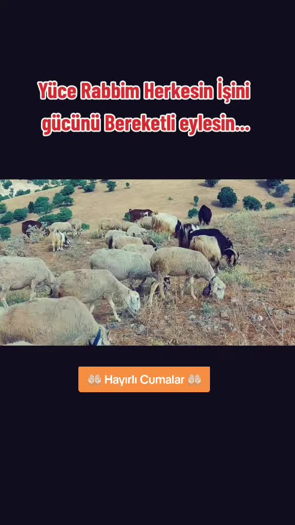 @👑Ercan Aslan👑