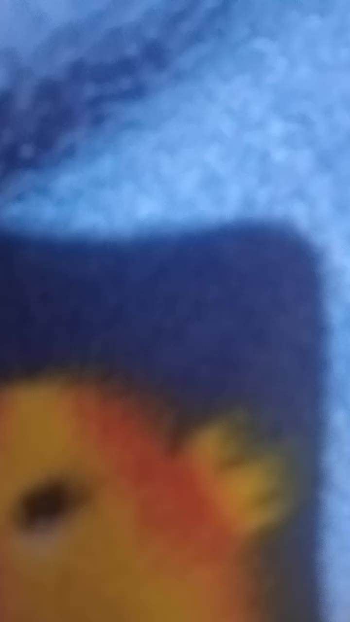 @nicoletacoscodaru3