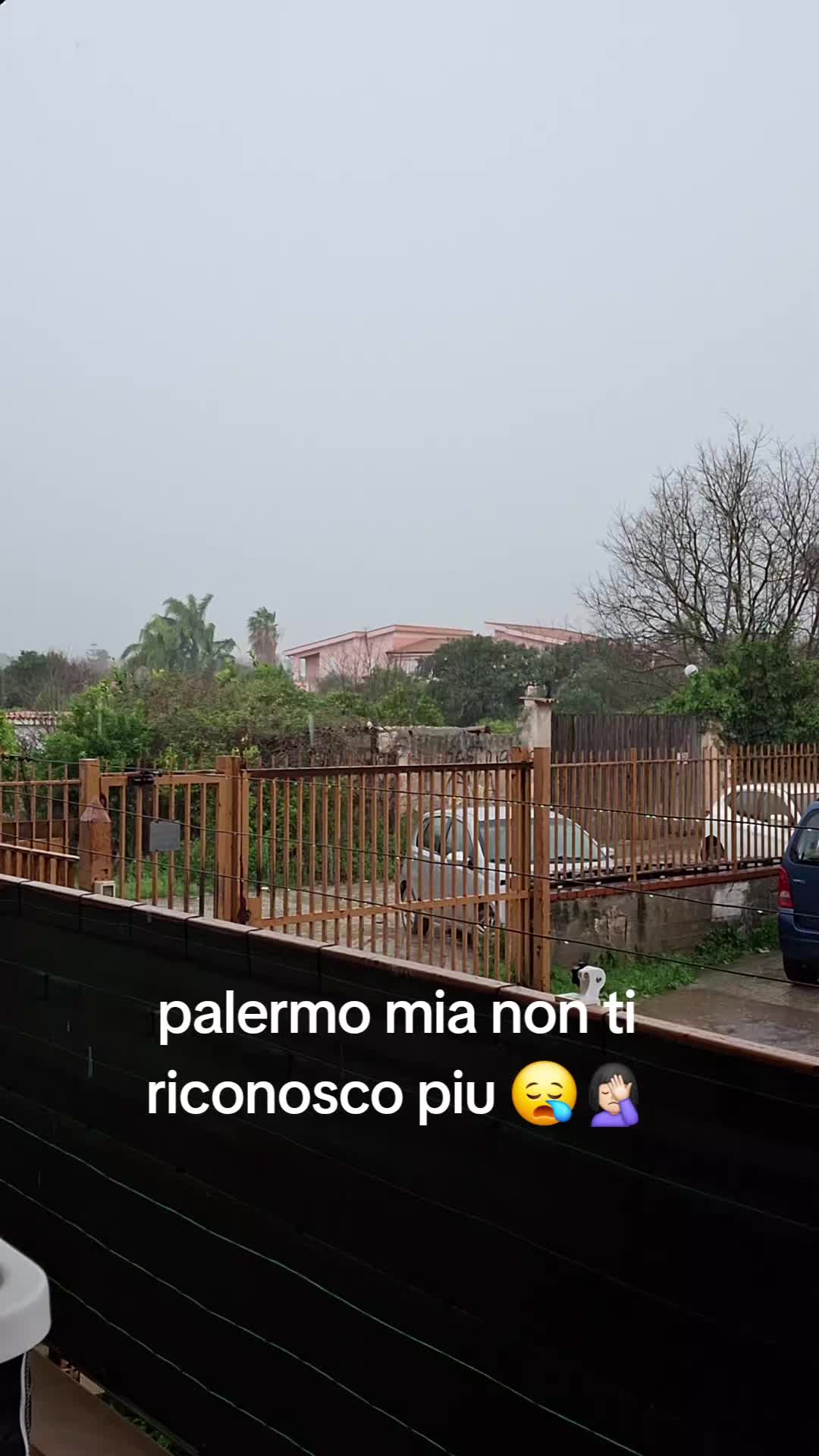 @Jessica Romeo