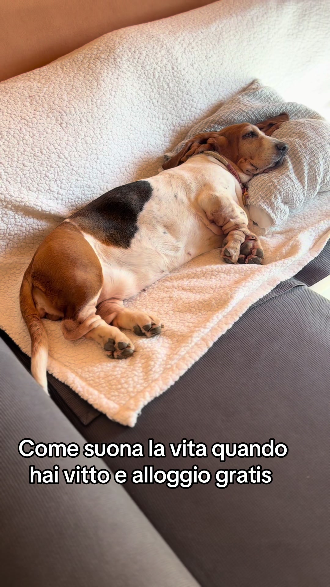 @Francesca Ghezzi