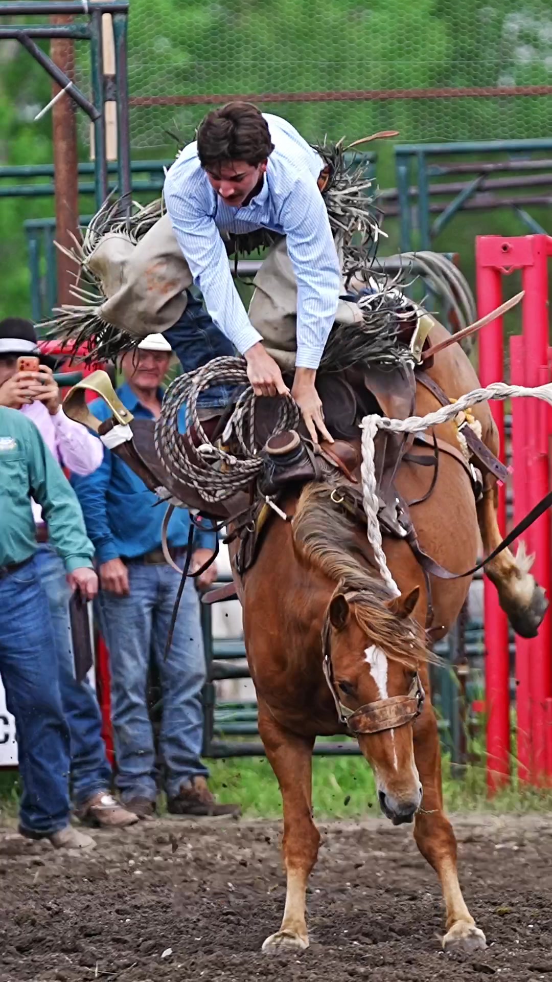 @Hanginghorses