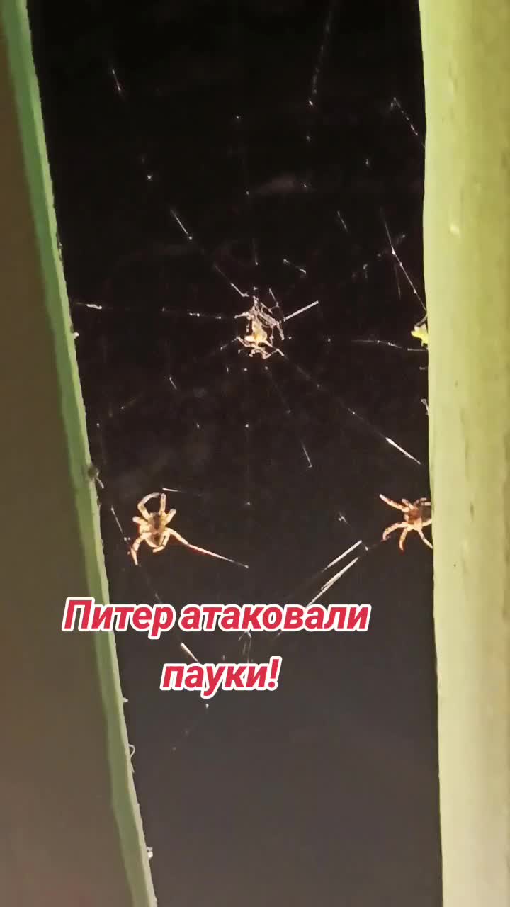 @user2278096979685