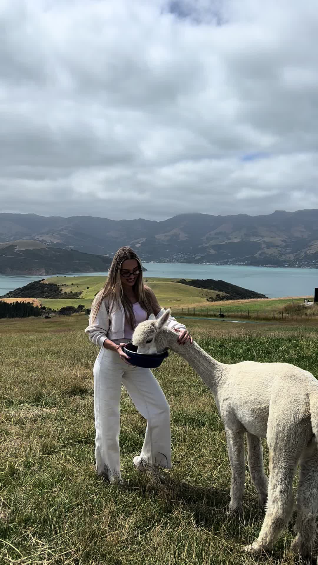 @Karina Bozga