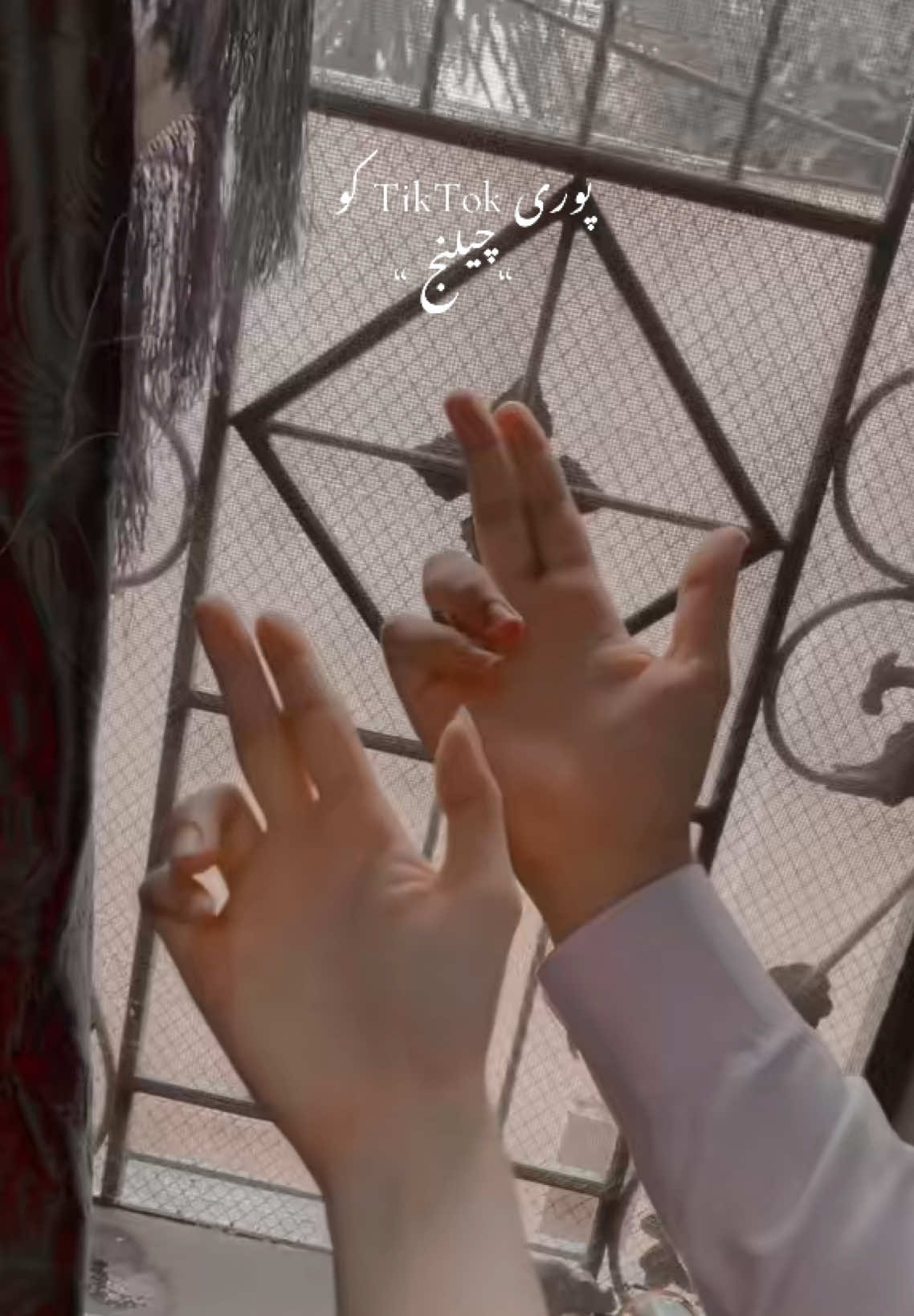 @༄᭄ᔕᕼᗩᎥ乙乙✿࿐❤️
