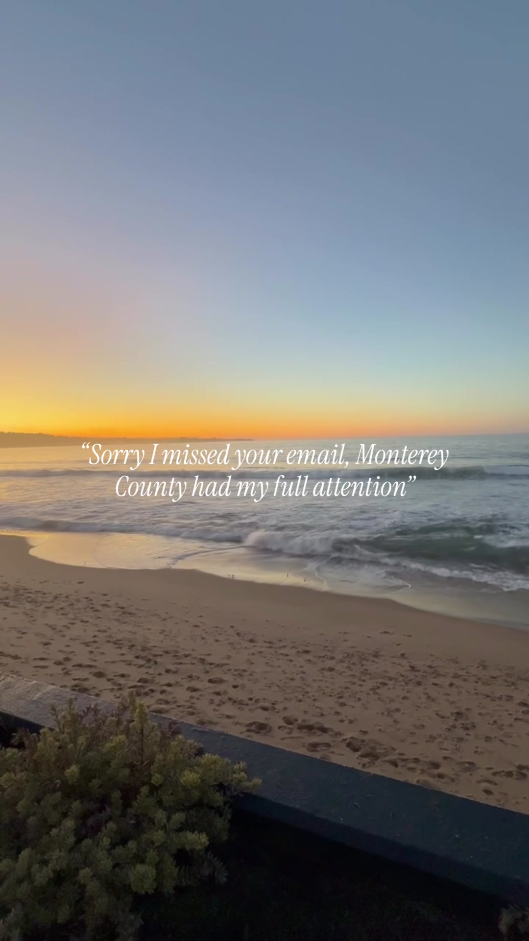 @SeeMonterey