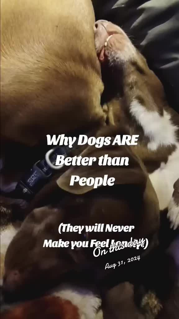 @Garebearboomer!