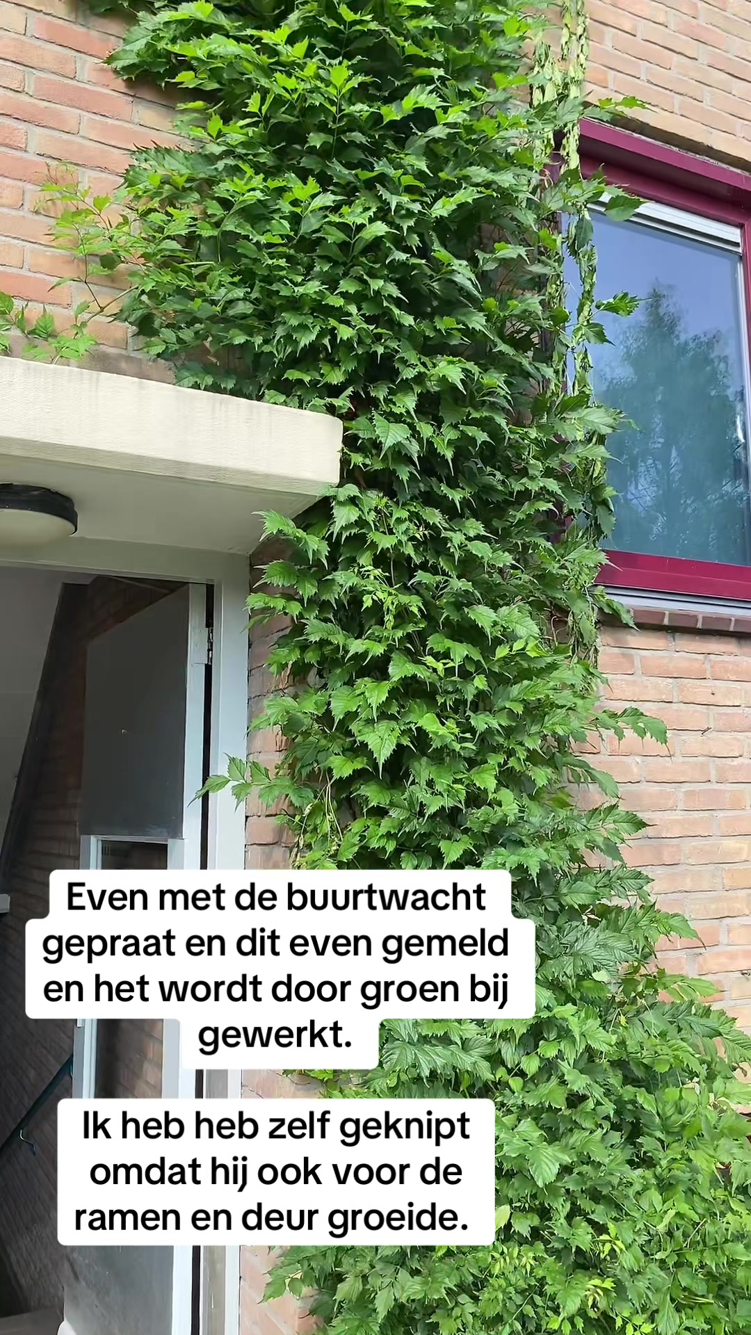 @Marianne Markus