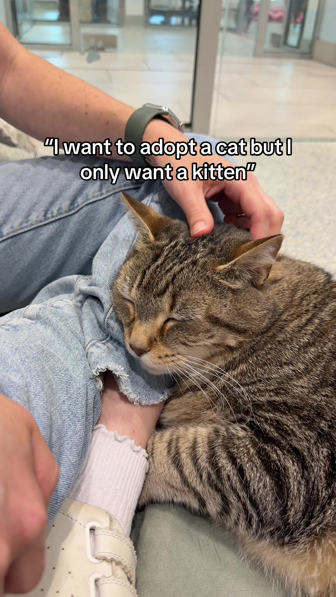 @Adopt a Pet