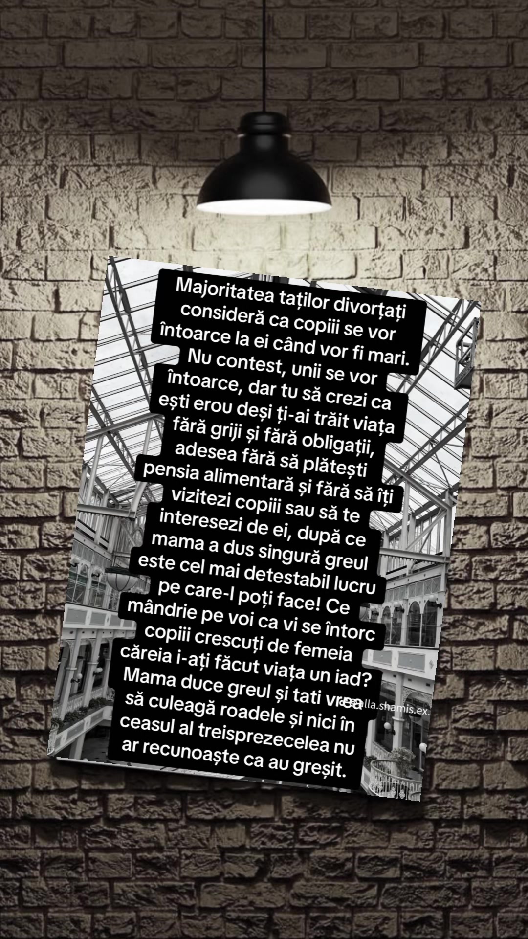 @FeliciaMoldoveanca77