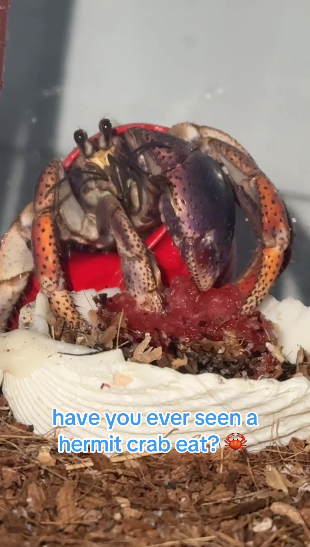 @Megan