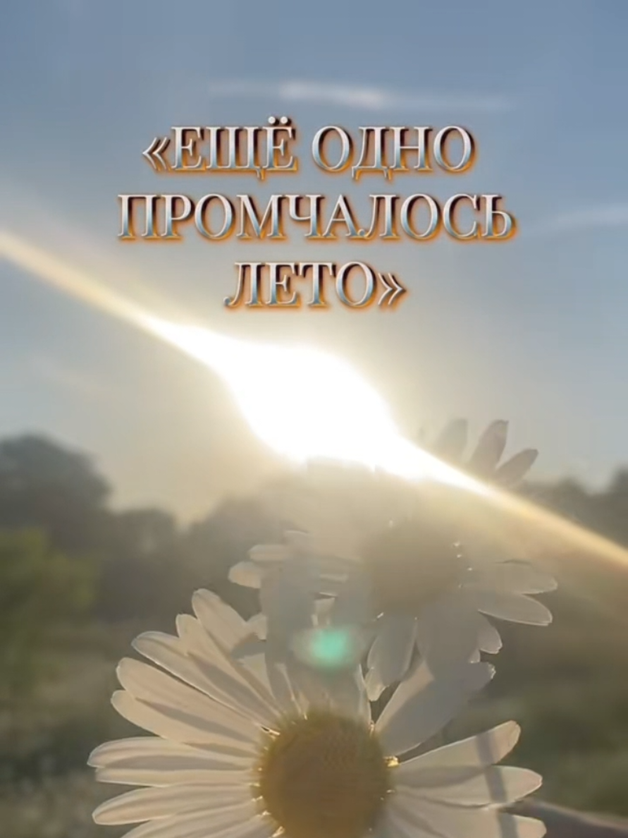 @✨Елена✨
