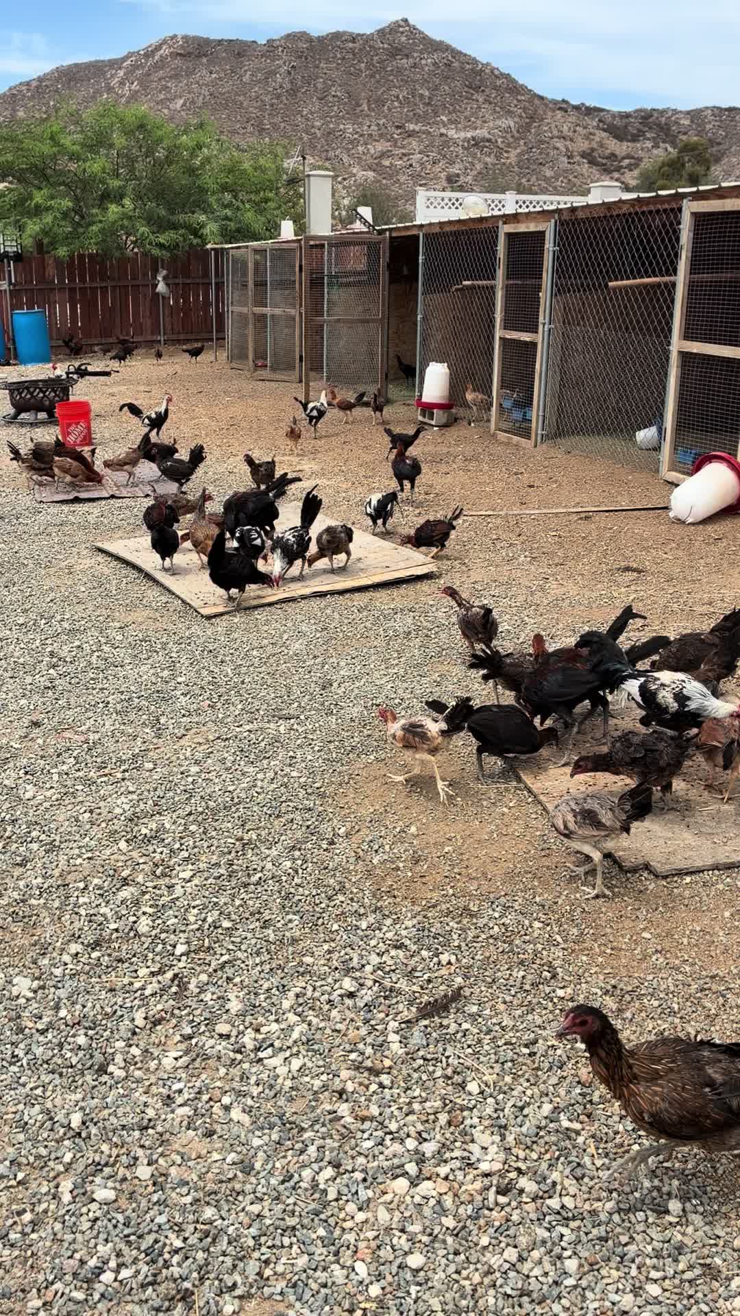 @A.MENDOZA.FARM.USA 74HWY