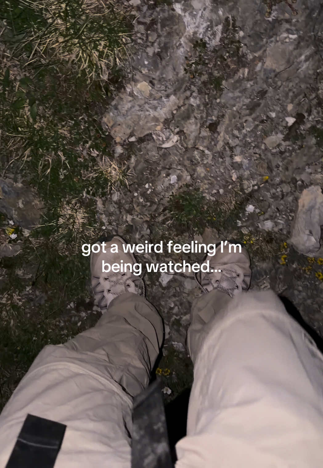 @peaktyler