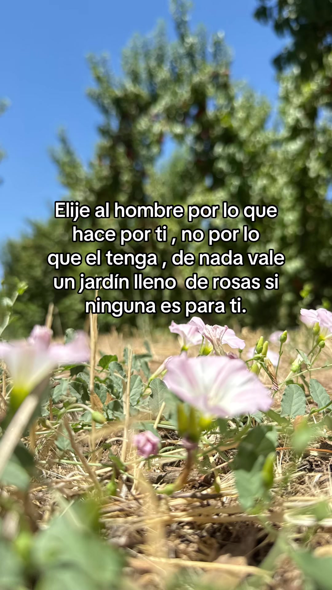 @🍒𝔽𝕝𝕠𝕣🍒🦋𝔸𝕣𝕖𝕝𝕚🦋
